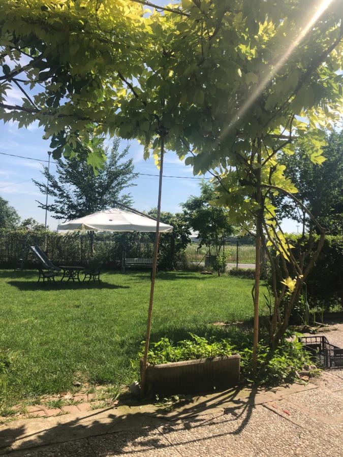 Al Divenire B&B Apartments San Giorgio di Mantova Kültér fotó